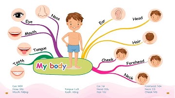 My Body - Chinh phục từ vựng tiếng Anh theo sơ đồ tư duy Mind Map