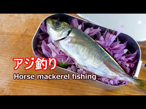 hunter-x-hunter-in-japanese.html