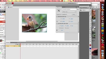 Simple Flash Animation - Photo Slide Show - Part 1
