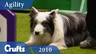 Agility - British Open 2010 | Crufts Dog Show