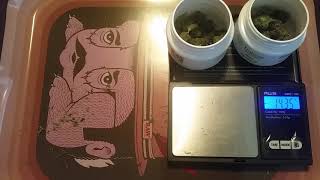 Skywalker OG 26% Trulieve
