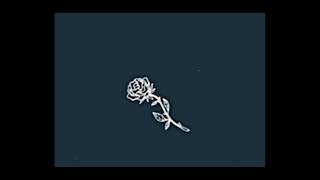 Our Park Chaeyoung Rosè Is So Pretty