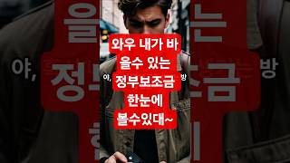 와우 내가 받을수 있는 정부보조금 한눈에 보기!!