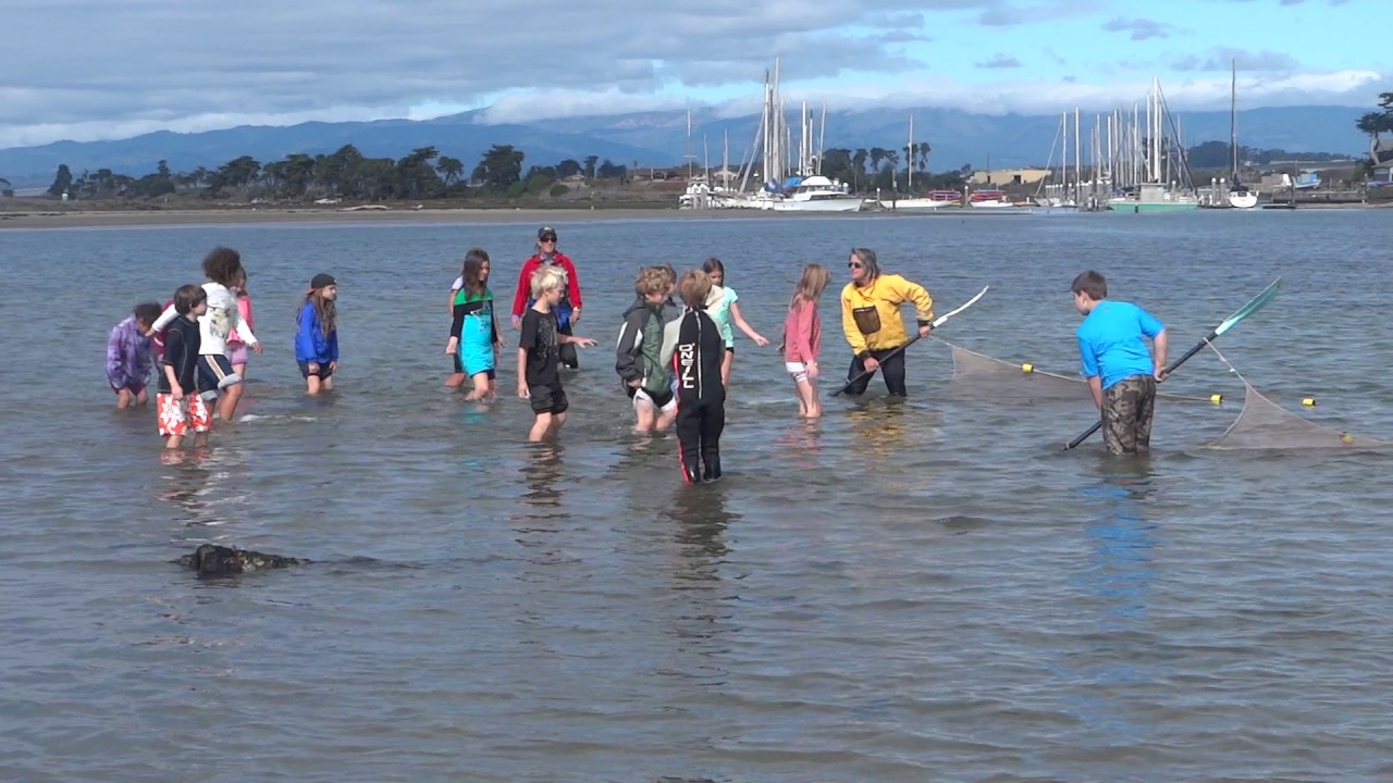 elkhorn slough field trips