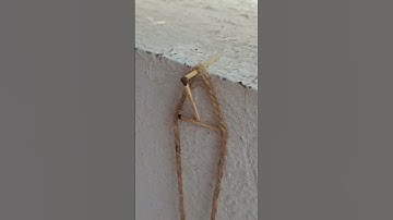 Equilibrium of forces #experiment