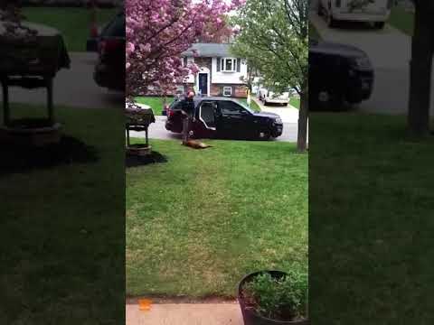 Police Dog Refuses to Go to Work, Won't Get in the Car