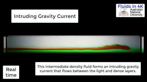 Intruding Gravity Current