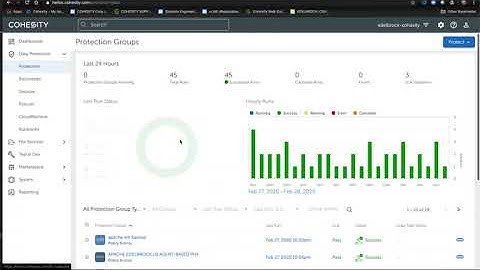 Cohesity PHY Agent VMW VM File Recovery from iSCSI LUN