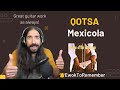 Queens of the Stone Age - Mexicola [REACTION]