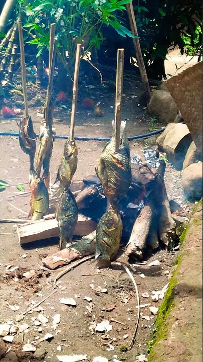 story wa bakar bakar ikan