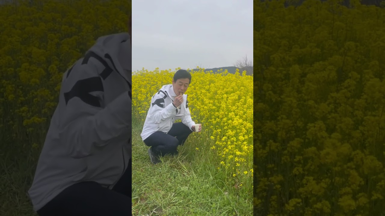 今週も淡路島では菜の花祭り。満開です。ネクタイも合わせて来ました。菜の花畑の中に迷路もあります。※少し遅れての投稿になりました。