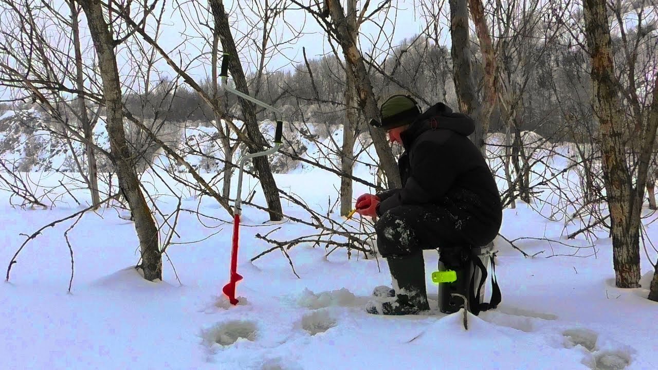 Ловлю ОКУНЯ в ДЕРЕВЬЯХ старого карьера!!!