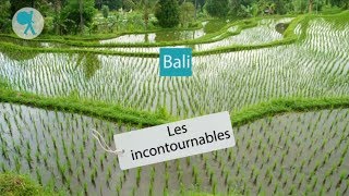 Bali - Les incontournables du Routard