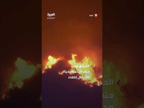 حرائق غابات بورصة التركية تتصاعد