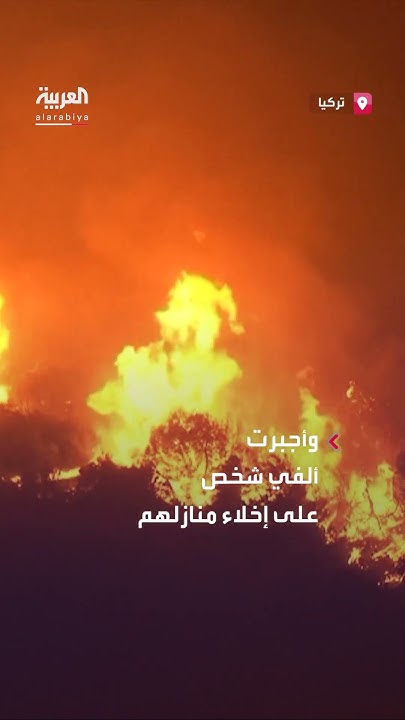       
 - نشر قبل 6 دقيقة