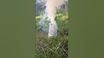 Doc(k)s#2 : Bruno Nagel Performance "installation"