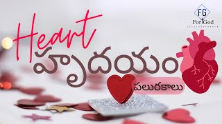 Types of hearts || హృదయం రకాలు || Telugu Christian Message on heart || kind of hearts in the Bible screenshot 5