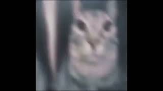 It Was Nice While It Lasted 1 Hour