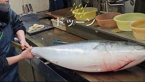 魚さばく