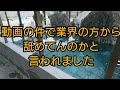 舐めてんのか、ユーチューブ削除しろと言われました、、、　錦鯉　自宅池　アクアリウム　nishikigoi