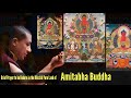 Brief Prayer to be Reborn in the Blissful Pure Land of Amitabha  Buddha - Karmapa | Buddist prayer