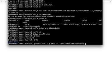 Mounting custom index.html as a Volume on nginx docker container