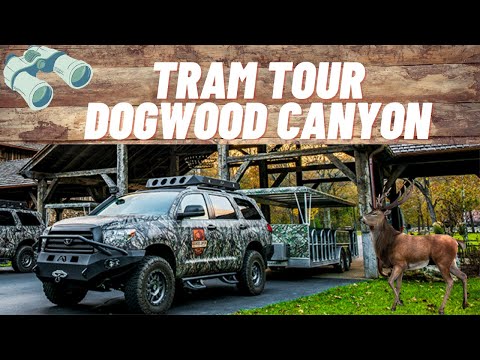Video: Wie viel kostet es, im Dogwood Canyon zu heiraten?