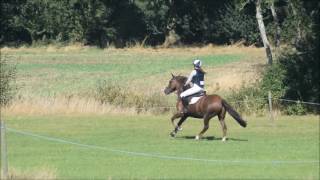 Topthorn SJ/WH