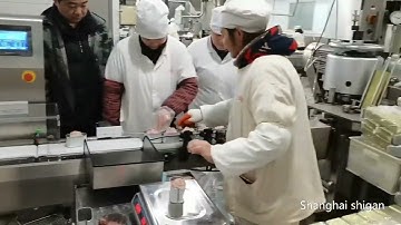 Automatic Conveyor Weight Check Checkweigher For Food Industry