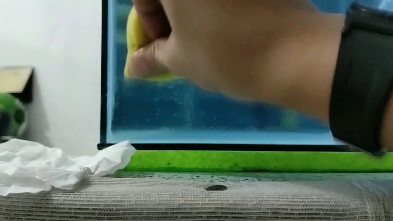 1 menit cara bersihkan lem solasi pada kaca aquarium YouTube
