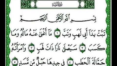 سورة المسد .. الشيخ: وليد الروبي