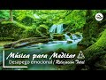 🎧 Música para MEDITAR en la NATURALEZA - 10 minutos - Relajación 🎧