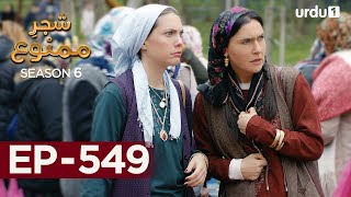 Shajar-e-Mamnu | Episode 549 | Turkish Drama  | Forbidden Fruit | Urdu Dubbing | 2nd May 2023 |