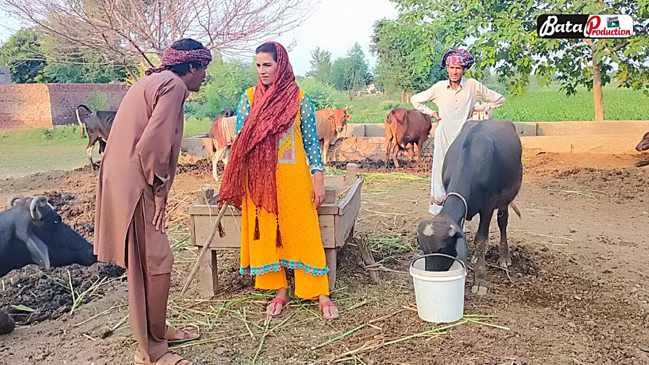 Дори Гхаппал, часть 2 | Новое смешное комедийное видео | Обязательно к просмотру: новое комедийно...