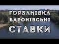 Бароновский ставок. Горбаневка г. Полтава Краткий обзор территории