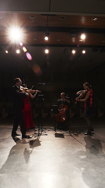 Kabhi Khushi Kabhie Gham - Synchronicity Strings #kabhikhushikabhiegham #kabhikhushikabhigham