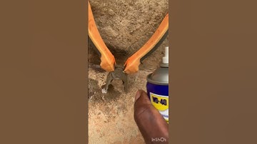 WD 40 skills and techniques against rust