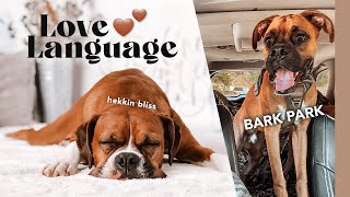 SPOILING MY DOGS WITH THEIR  LOVE LANGUAGE 🥰 Complete Opposites by Roxie Boxie 301 views 2 months ago 5 minutes, 5 seconds