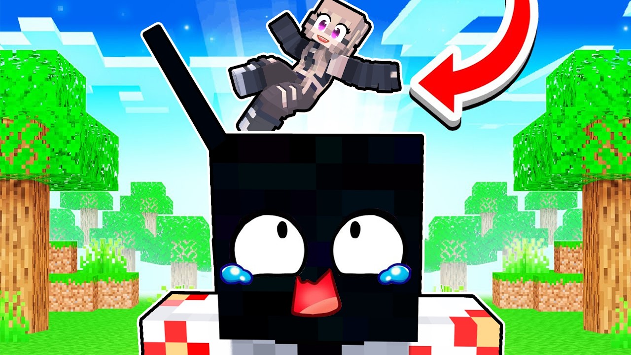 Ce e *IN CAPUL LUI ADI*?!