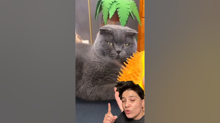 Keşfetteki meşhur buharlı kedi tarağını denedim! Cat brush #shorts #tiktokviral