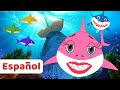 Cinco Bebe Tiburones + Carros Canciones Infantiles | Fun For Kids TV Español