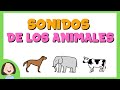 Sonidos de animales.