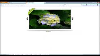 php banner script - www.phpuncle.com
