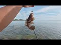 CASTING ULTRALIGHT Batu Pendek Tok Bali! Strike Ikan Kunyit & Kerapu Dengan Soft Plastic 🎣 - ep213