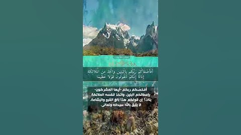 تلاوة للقارئ عبدالعزيز التركي .