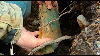 Collecting Blue Amazonite