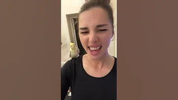 This Bird Is A Paid Actor 