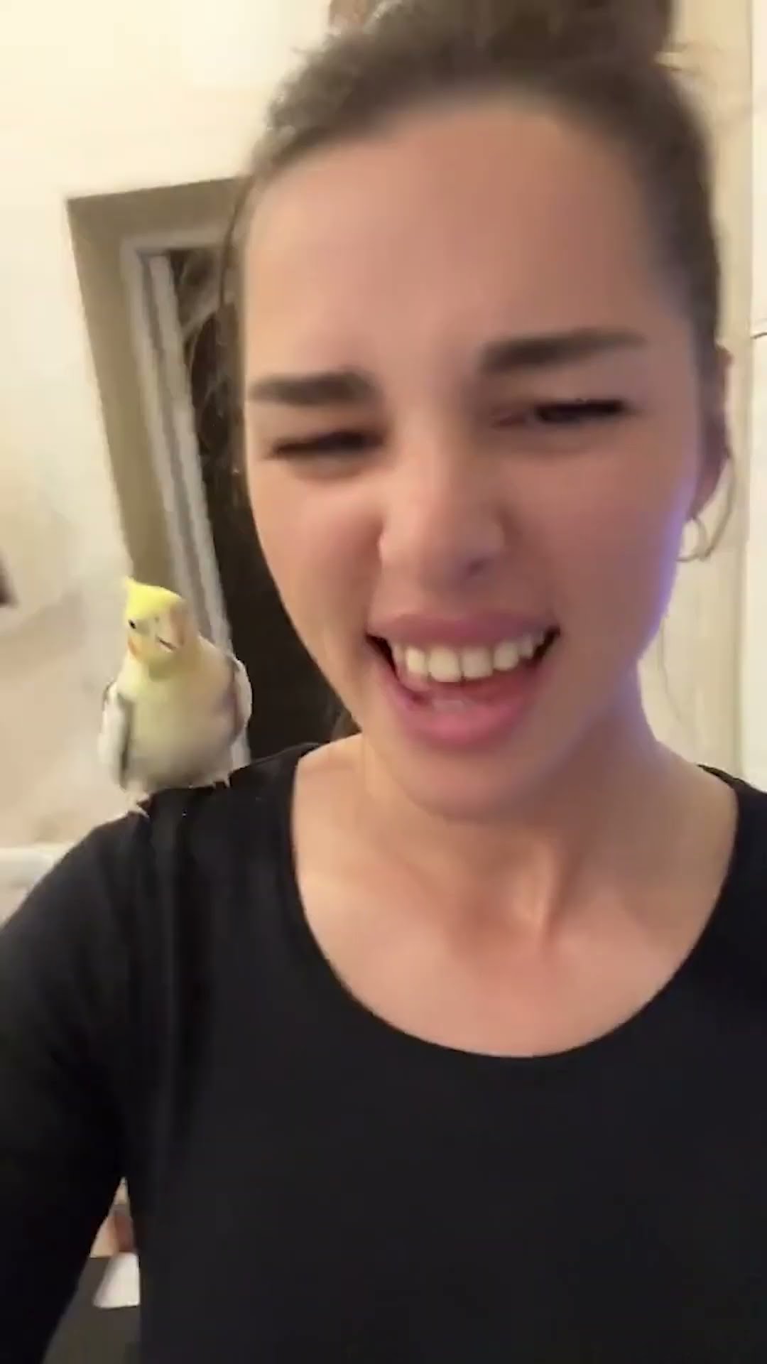 This Bird is a Paid Actor