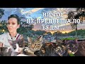 #КОТОМАТЬ: Инициатива и Доверчивость наконец-то Наказаны - Дом Превращается в Цирк!