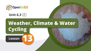 Unit 6.3 Lesson 13 | OpenSciEd On-Demand Resources